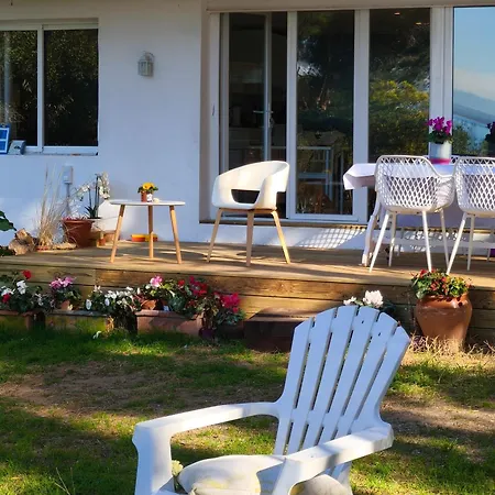 Loft Garden Sea