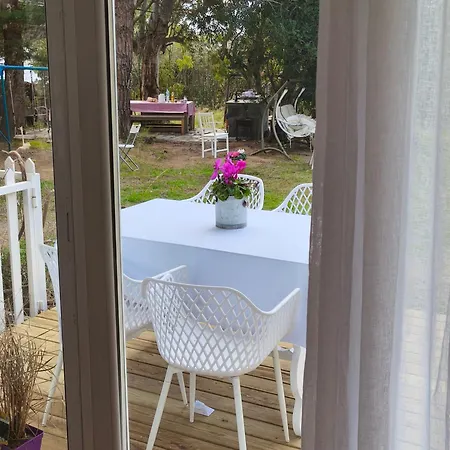 Loft Garden Sea *