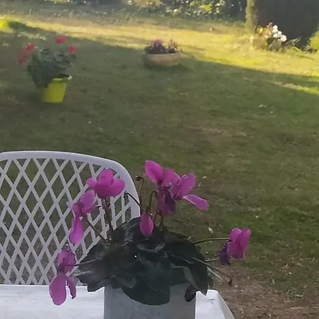 Loft Garden Sea Rosas